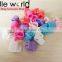 Colors Mini Size Plastic Hair Claw Small Hairpin Clip