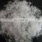 Canada standard Grade A 80/20 white duck down big down cluster high filling power, cleaness, odorless, whole sales
