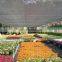 hdpe black balcony shade Net