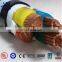 0.6/1KV PVC insulated u100r2v cable