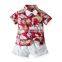 Children's clothing beach multicolor floral shirt boy shorts two-piece baby Hawaiian style