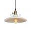 Simple style modern industrial  Iron Pendant Light for decoration