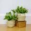 Natural plant pots seagrass basket planter ecor friendly seagrass woven style belly basket seagrass