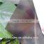 3mm one side frosted dark brown polycarbonate sheet for inside doors