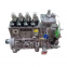 XC MG XS262J XS263JPD Construction Machinery Injection Pump 8400360848/P86PF1 Road Roller Part