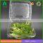 Clear plastic vegetable packaging box