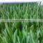 Large Model Animal Fodder Sprouting Machine