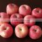 2015 New Year Fresh Fuji Apple biggest exporter chinese fresh fruit red apple Fuji