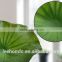 decorative artifical pu single lotus leaves
