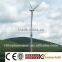 10kW small wind turbine power generator system with tilt up tower