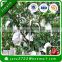 Greenhouse Garden Grow Bag Tree Planting Bag Garden Protection Nonwoven Fabric Products