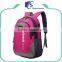 Pink girls polyester oem laptop/computer backpack bag