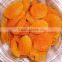Chinese Dried Apricot for sale