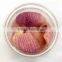 light pink-VF dried onion crisps for sale