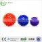 Zhensheng spiky massage ball kit