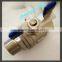 316 Stainless 2pc Full Port Srewed 1000psi Ball Valve M*F