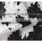 Fashionable chemical embroidery lace african flower lace fabric embroidered