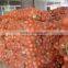 Shandong origin fresh onions for sale