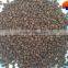 bulk urea fertilizer dap fertilizer 18-46-0 urea npk mop dap fertilizers