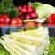 stainless steel fish ball blanching machine/food Fix equipment