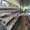 Layer Chicken Cage/Chicken Farm /Chicken Cage