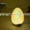 7colors Changing With Transformer Led Plastic Easter Eggs