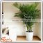 Indoor decoration Artificial Areca plant home decorarion fake artificial plant