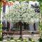 high quality price Artificial white Cherry Blossom Tree for wedding decoration wholesale
