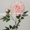 China Moon Peony Artificial Flower Best Sell for Home Decoration Wholesle