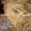 water reed roof thatching