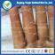 China Manufacturer High Quality Anti bird net