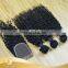 Wholesale Raw Cambodian Kinky Curly Hair Weaves