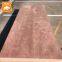 commercial furniture plywood laminated natural Bingtangor/okoume face veneer