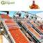 fruit jam tomato past process machine plant