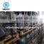 DOT-3AA Certificate High Pressure Soda CO2 Gas Bottle
