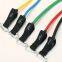 11 pcs Exercise Body Shaping Physical Therapy Training Fitness Yoga Pilates Resistance Bands set