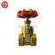 2019 New Arrival Golden Supplier Coming Brass Ferrule Valve