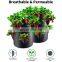 Heavy Duty Strawberry Garden Vegetable Potato Fabric DIY Planter Plant 10 Dots 7 Grow Bags 5 Gallon