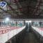Well design steel structure chicken houses poultry farming building with automatic pan feeder line auger feed system equipment