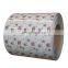 0.48mm ppgi colorful prepainted galvanized gi steel coil ppgl dx51d z275