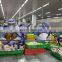 Горячая продажа: замороженные блоки филе тихоокеанских кальмаров