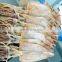 high quality frozen seafood bulk vietnam dried squid for sale