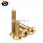 China's best-selling global high-quality, low-cost and high-precision cross head copper screw machine for instruments