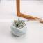 2021 New High Quality Geometric Design Ceramic Succulent Plant Pots Nordic Plant Indoor Pots