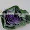 Good quality latest Purple brassica