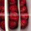 New fresh preserved fresh red rose flowers
