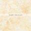 interior 300x600 glazed decoration Ceramic Digital Wall Tiles