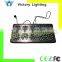 450W Hydroponic LED Plant Garden Light with Hanging Kit