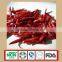 Tianying Chilli without Stem