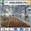 2015 New Prefabricated Light Steel Structure Poultry Farming                        
                                                Quality Choice